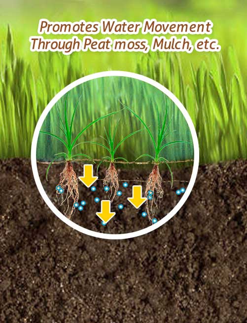 Soil Penetrant