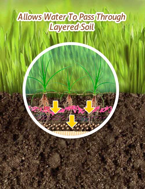 Soil Penetrant